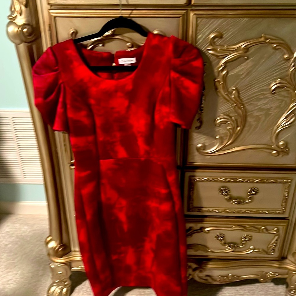Gorgeous dress